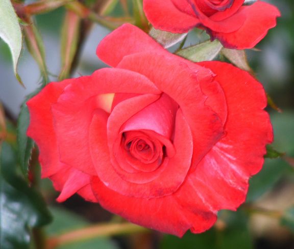 Patron photo pat2013_06070033_zps8eb92ccf.jpg